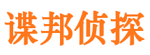 岳塘市婚外情调查